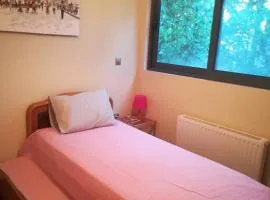 Mina’s Villa, 200m from the beach