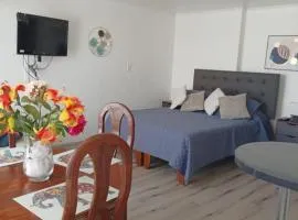 Loft con excelente ubicación en Viña del mar