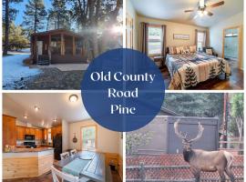 Old County Pine home, hotel v destinácii Pine