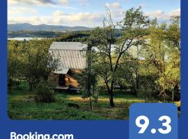 Vidikovac Golo brdo, vacation home in Knić