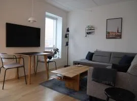 Modern apartment in Aarhus with free parking