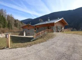 Pet Friendly Home In Castello Tesino