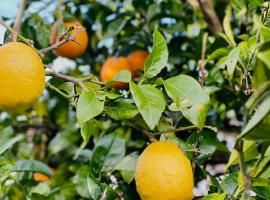 BILBO Near ático rural con terraza, hotel en Basauri