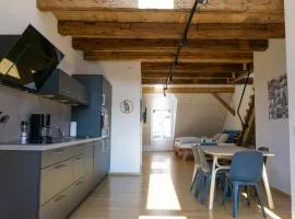 Schwarzwald Apartment City Studio