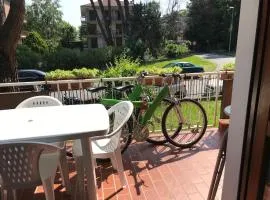 La terrazza con le biciclette a due passi dal lago