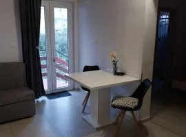 FRANE STUDIO