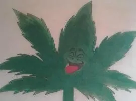 Ketama ketama ketama