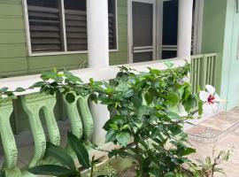 Andre's Guest House, habitación en casa particular en Negril