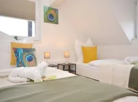 RT01-RI Apartment in Roth