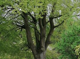 The Beeches, lägenhet i Newry