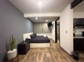 Dpto. moderno zona boulevard