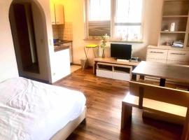 Apartment Seelenruhe Falkau 1: Feldberg'de bir daire