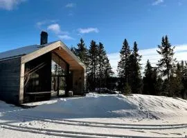 Sjusjøen - Modern retreat at prime location!