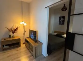 KK Apartament Piekarska Oficyna