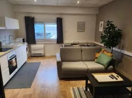 Joli Studio équipé et neuf ! Tout confort