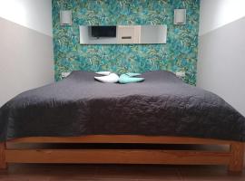 Mieszkanie na Wygodzie M1-parking free