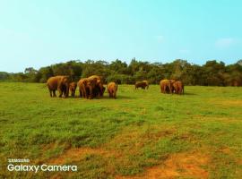 Minneriya Jeep Safari, luxury hotel in Habarana