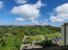 Hohegeiß Ferienwohunung - 14ter Etage mit Blick
