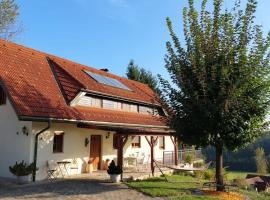 Naturjuwel inmitten der Weinberge, lägenhet i Sankt Stefan ob Stainz