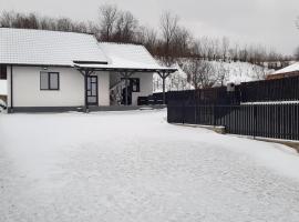 Casa Bellevue, villa in Bacău