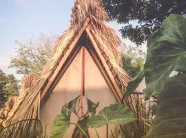 TRIBU Glamping & beach view