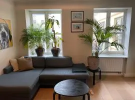 Strøken loftleilighet midt i Oslo.