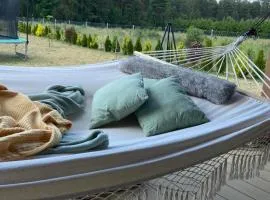 Wakacje Mazury, Willa Ametyst, cisza , ptasi śpiew , GRZYBY , RYBY