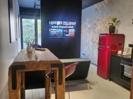 Loft vistula old town apartament free parking