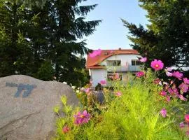 Villa Stubnitz
