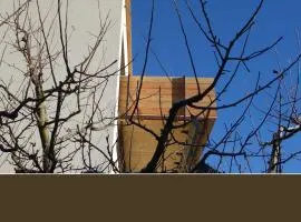 Holztau