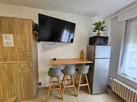 Studios Immostrasbourg - hébergements de tourisme classés proche centre et Conseil d'Europe