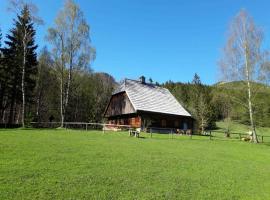 Wildererhütte 240 Jahre alt, pet-friendly hotel in Lahnsattel