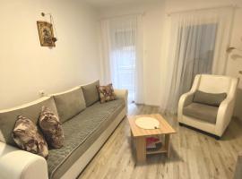 Apartman Bogdan, ubytování v soukromí v destinaci Čačak
