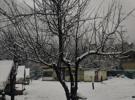Kasol Village Camp, luksustelt i Kasol
