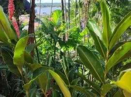 Hostel Zen - Casa na Floresta