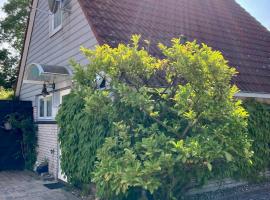 Gudrun 5 pers Equipped house with sauna. Dogs are welcome! – hotel w mieście Anjum