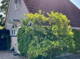 Gudrun 5 pers Equipped house with sauna. Dogs are welcome!