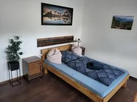 Einzelwohnung im EG mit Terrasse und AC