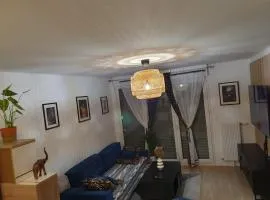 Appartement près de paris très jolie et commode