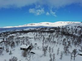 Granebo - Ustaoset, semesterhus i Ustaoset