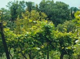 Asolo Norah's Hill Agri Rooms, agroturisme a Caenere