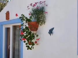 Casa do Brejão campo e praia