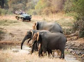Karongwe - River Safari Lodge