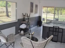 Villa Gard'iguette avec SPA entre vignes &garrigue