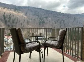 COLETTE Studio BelleView