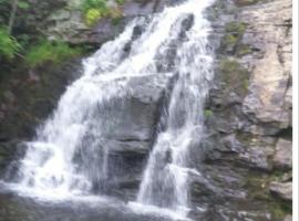 Harmony in the Woods, chalet de montaña en Lake Harmony