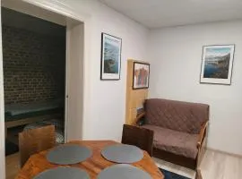 Apartament „Sowa” jezioro 250m, góry