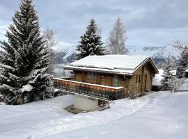Chalet Chalet Larix by Interhome, hotel v destinaci Bürchen
