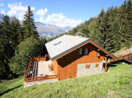 Chalet Camomille - Chalets pour 12 Personnes 67, cabin in Peisey-Nancroix