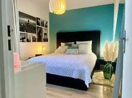Superbe Chambre avec vue et salle d eau privative dans duplex de 140m2 - proche CHU Clermont